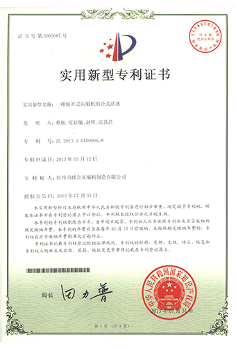 專(zhuān)利5